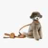 Portasacchetti per animali da polso in pelle con stampa Monogram