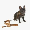 Portasacchetti per animali da polso in pelle con stampa Monogram